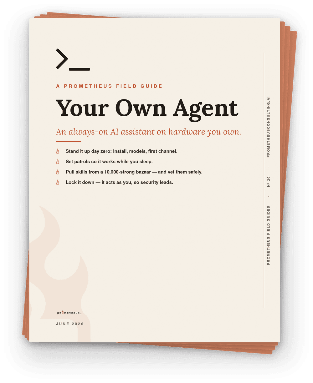 Your Own Agent cover